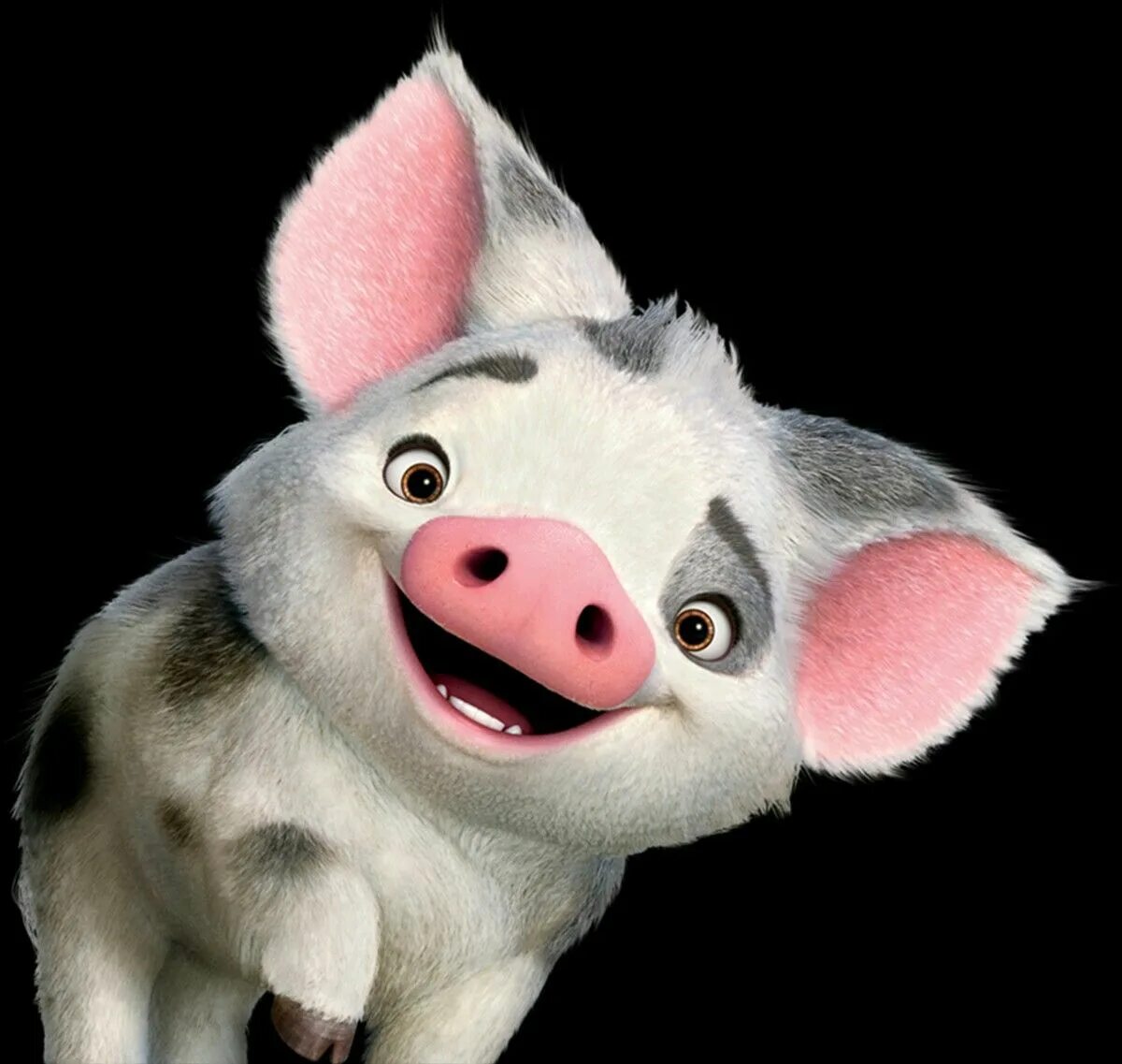 Pua generic