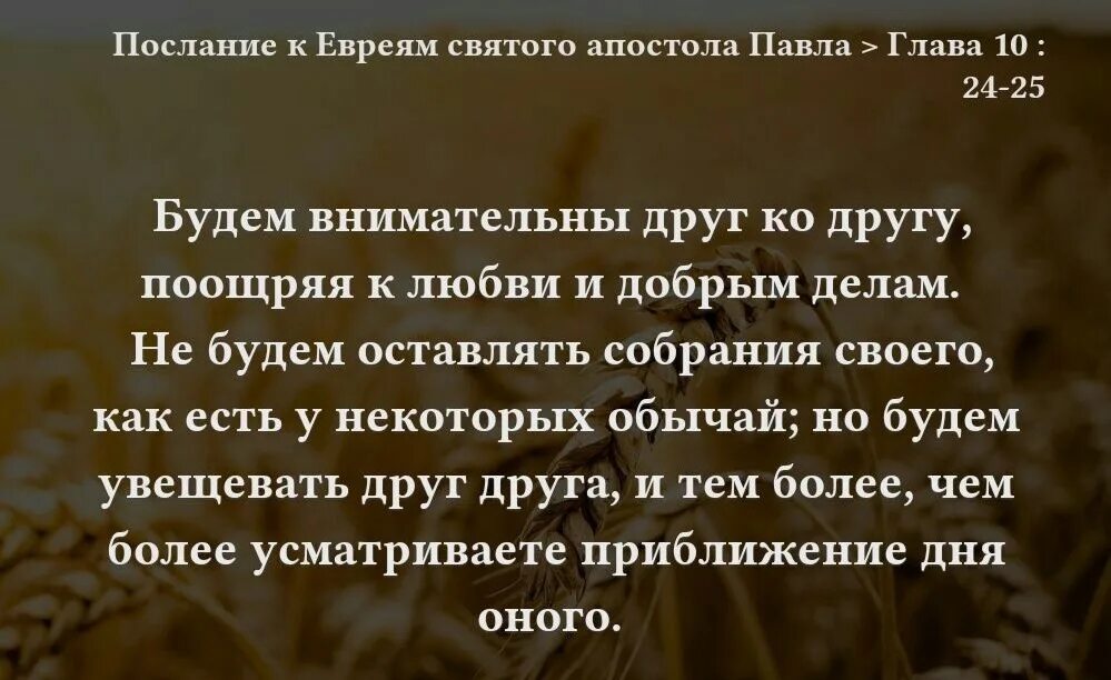 Послание к евреям 3. Послание к евреям книга. евреям 10 24. послание к евреям суть.