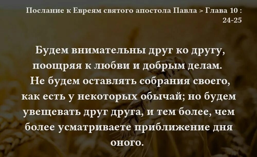 Будем внимательны друг ко другу поощряя к любви и добрым делам. Послание к евреям книга. Евреям 10 24. Послание к евреям толкование