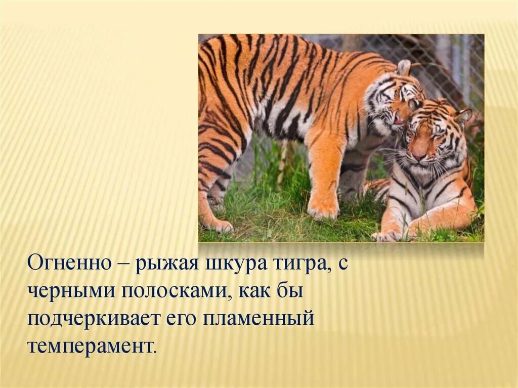 Придумай свои вопросы типа почему тигр полосатый. Придумай свои вопросы типа почему тигр полосатый