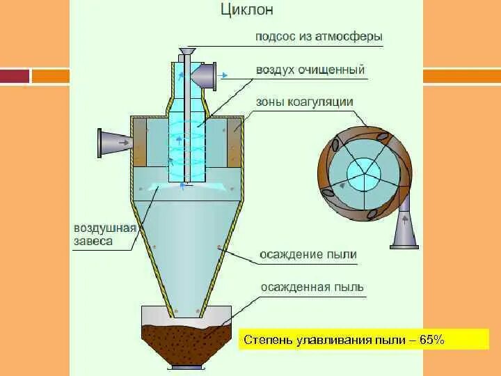 Создает большую площадь для улавливания пыльцы имеет