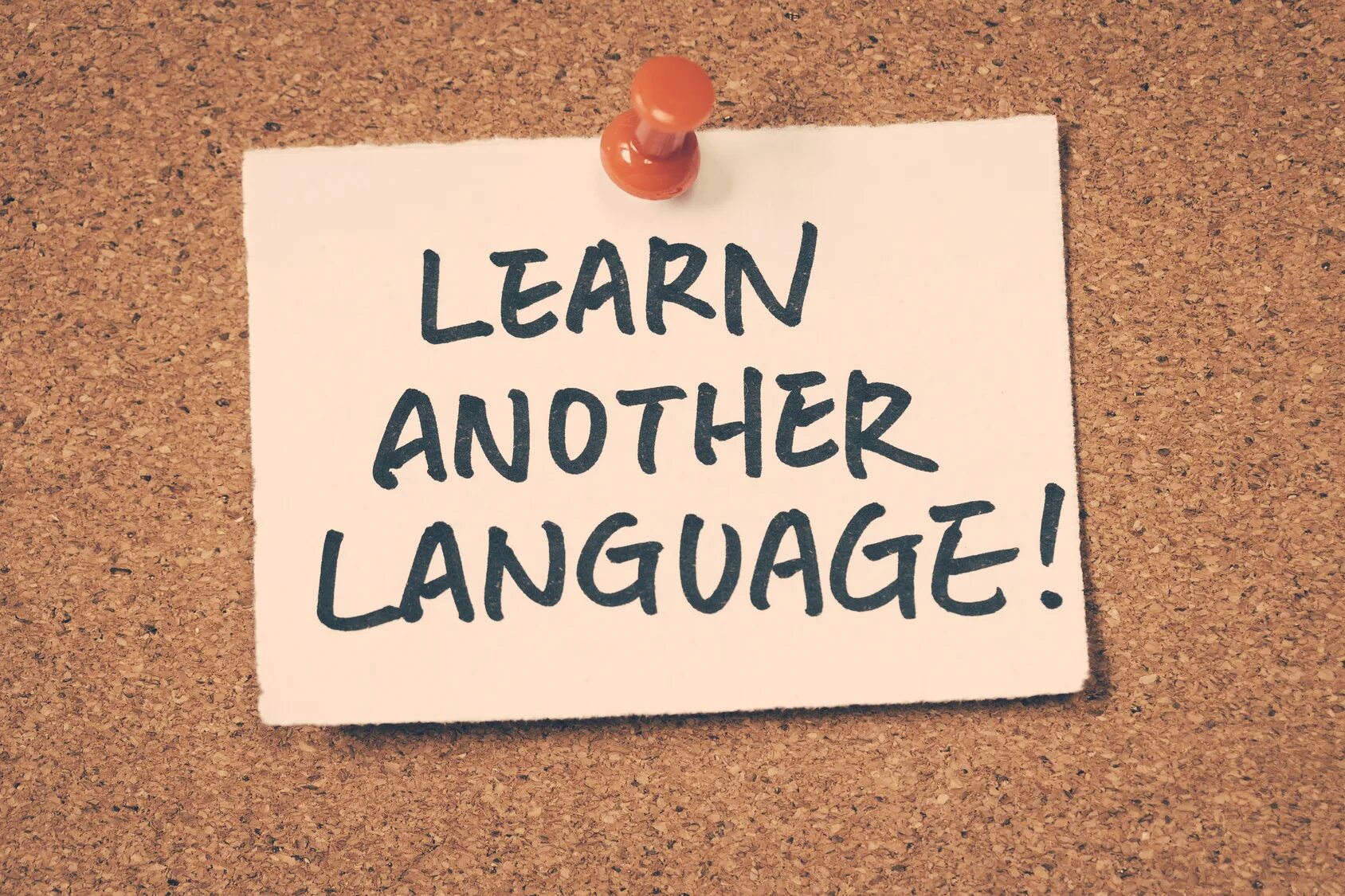 Learn another language. Learning another language. learning another language is not only learning different. learn another language tbs.