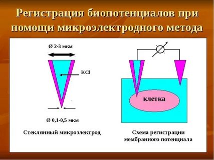 Потенциал регистрация