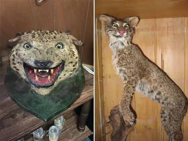 Человек который делает чучело