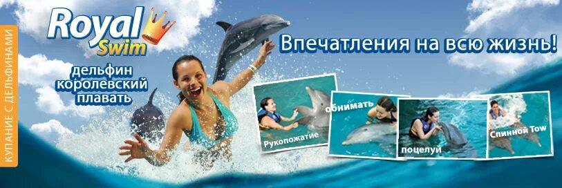Сайт дельфин красноярск. Дельфины в Красноярске. Сертификат на плавания с дельфинами для детей. Сертификат чтоб поплавать с дельфином картинка. Дельфин Красноярск интернет магазин каталог товаров.