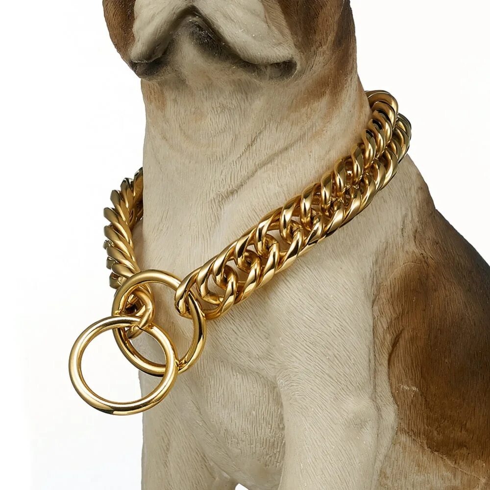 Лабрадор золотистый ошейник-цепь. Цепочки для собак на шею. Собака на цепи. Цепочка для собак. Ошейник парфорс нержавейка.