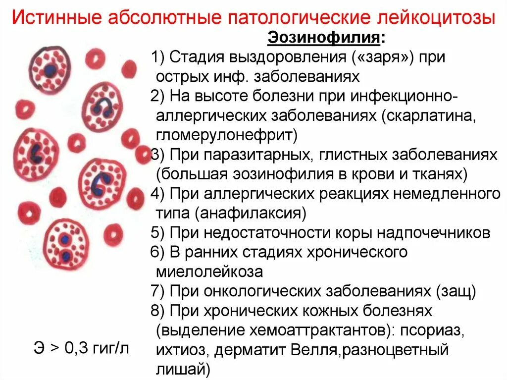 Изменения лейкоцитов в крови