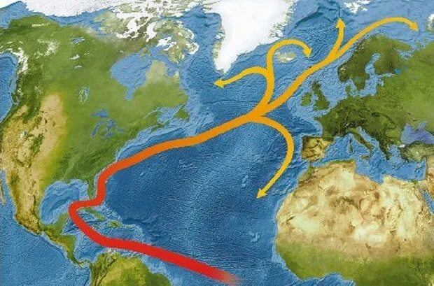 Морское течение гольфстрим. Гольфстрим в Атлантическом океане. Океаническое течение Гольфстрим. Гольфстрим течения Атлантического океана. Залив Гольфстрим.