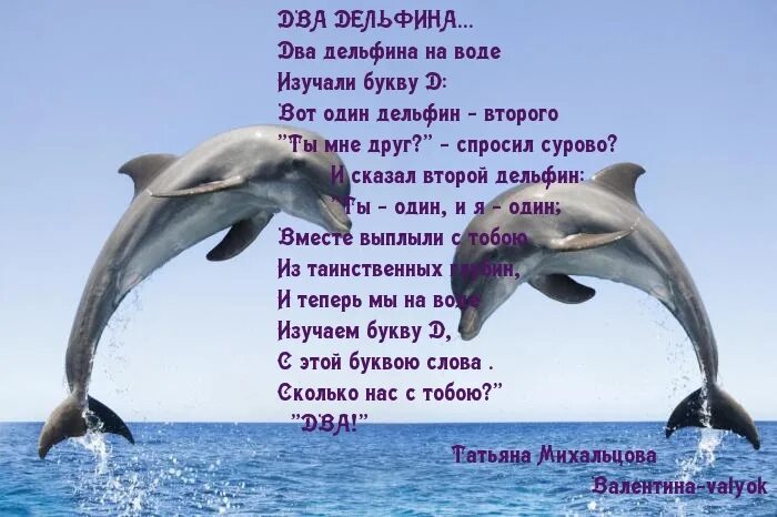 Дельфины слова текст. Стихи про дельфинов. Стихотворение про дельфина. Стихи про дельфинов для детей. Стих про дельфина.