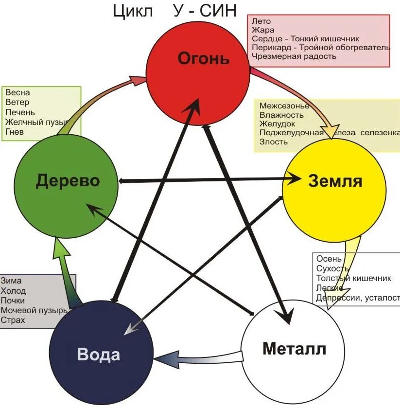 Теория Усин 5 стихий. Круг у-син 5 элементов. Китайская система Усин. Пять первоэлементов китайской философии. Питание 5 энергий