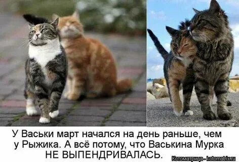 Рано ч