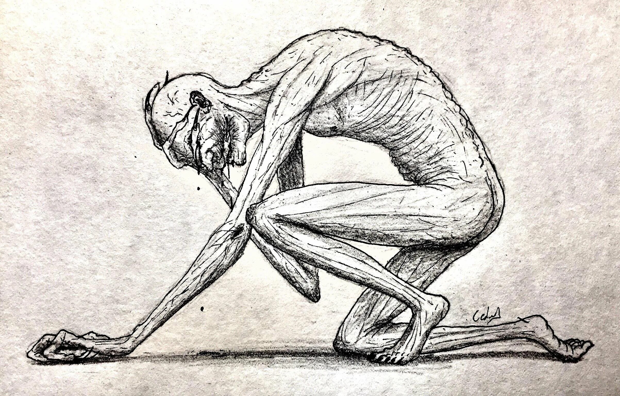 Что такое scp. Что такое scp