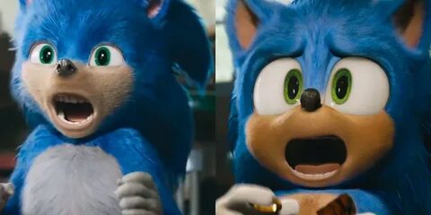 Hedgehog movie
