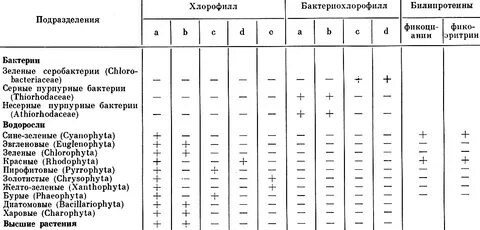 Содержание хлорофиллов