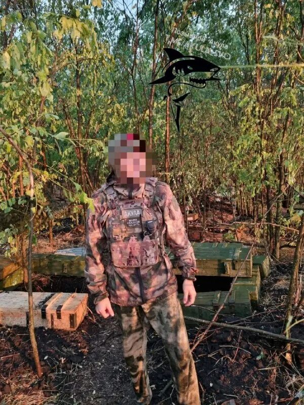 позывной акула