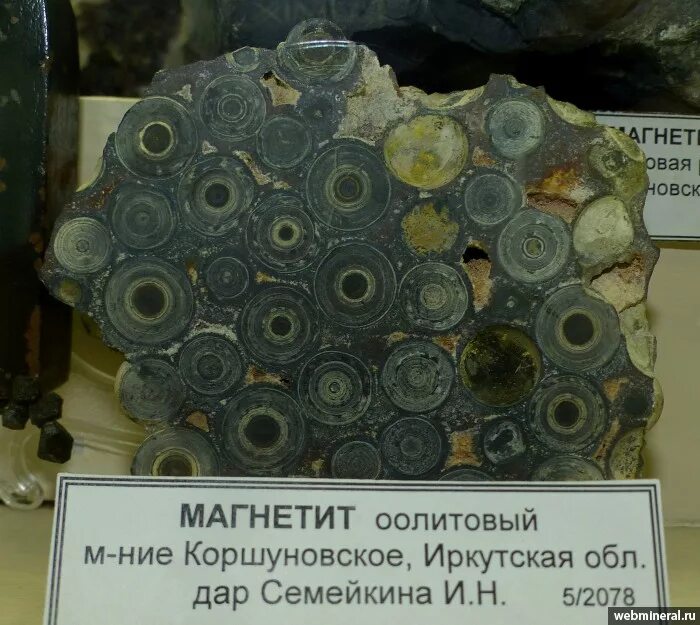 Магнитит ли