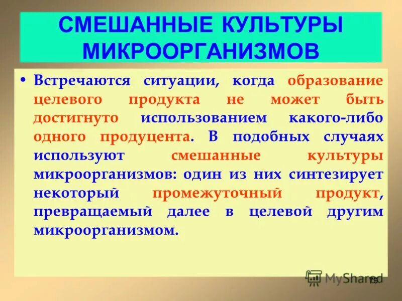 Капуста продуцент. Капуста продуцент
