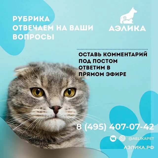 кончаловского. женская консультация 10 зеленоград. зеленоград 3 городская больница женская консультация врачи. 1. женская консультация на 8 марта пенза.