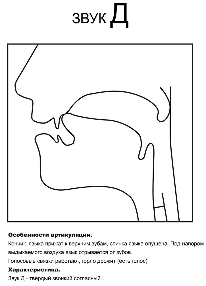 Артикуляция звука л и ль. Артикуляционный профиль звука с. Артикуляционный уклад звука д. Звук в артикуляция звука. Артикуляция звука г для детей.