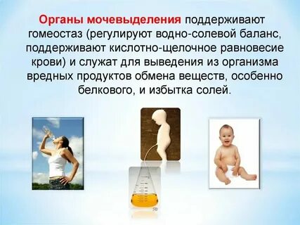 Сложная биологическая система