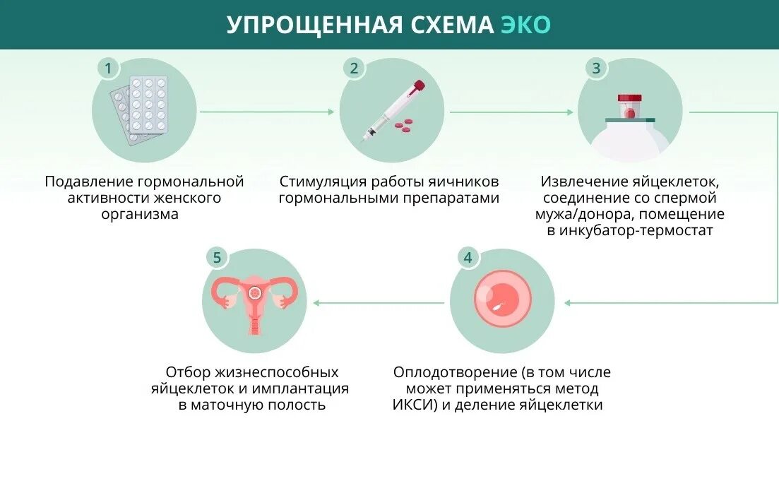 Женщины доноры яйцеклеток. Схема экстракорпорального оплодотворения. Этапы искусственной инсеминации. Эко метод оплодотворения. Эко оплодотворение схема.