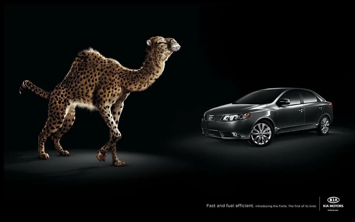 Креативная реклама автомобилей. Креативная реклама на авто. Образы животных в рекламе. Креативная реклама на машине. Лучшая реклама автомобилей