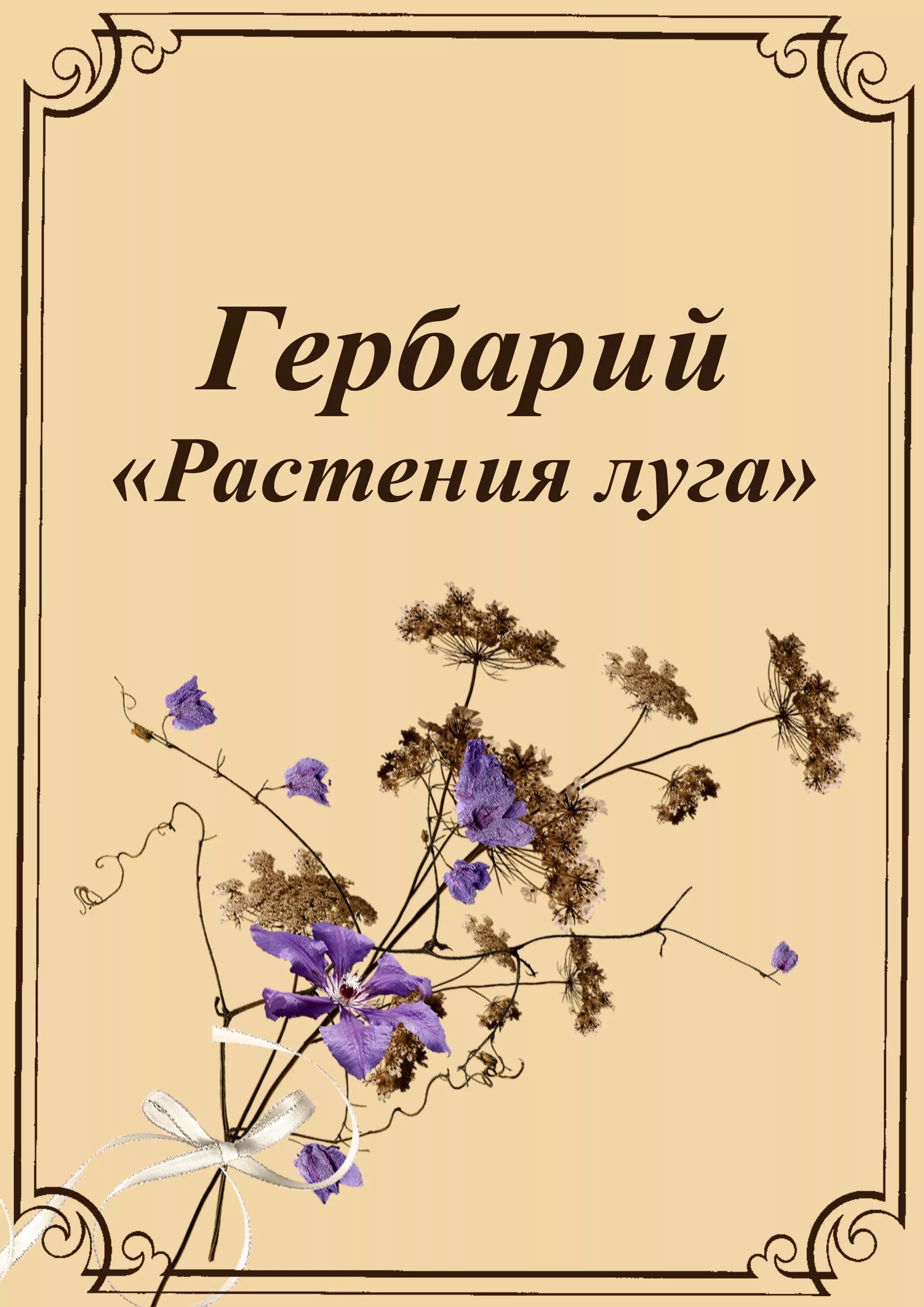 книга титульный лист обложка. обложка титул. обложка титул. обложка титул. книга титульный лист обложка.