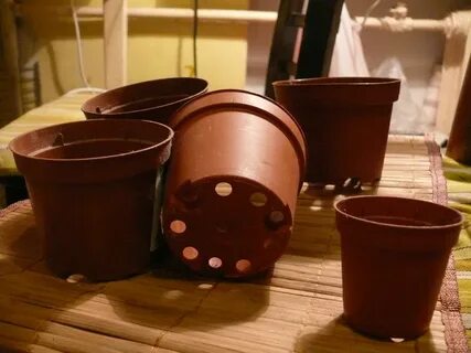 Какого цвета должен быть горшок