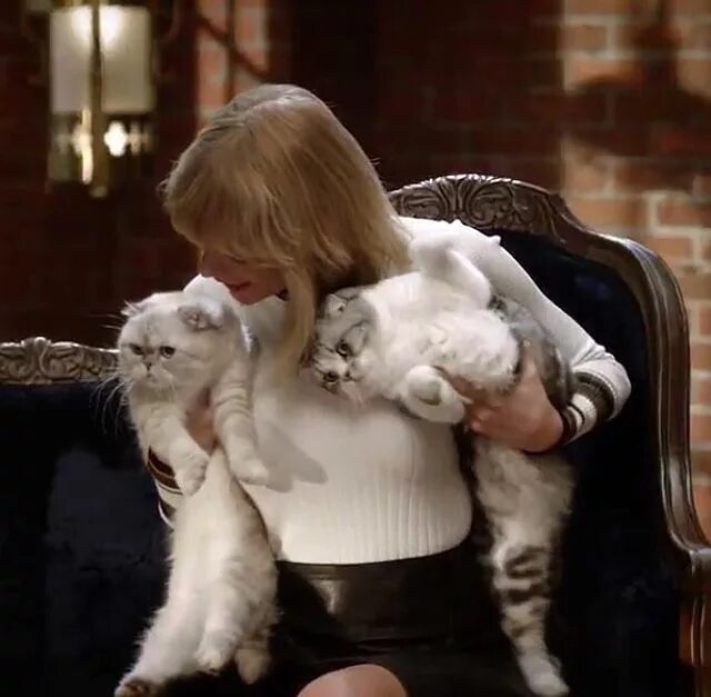 Swift cat