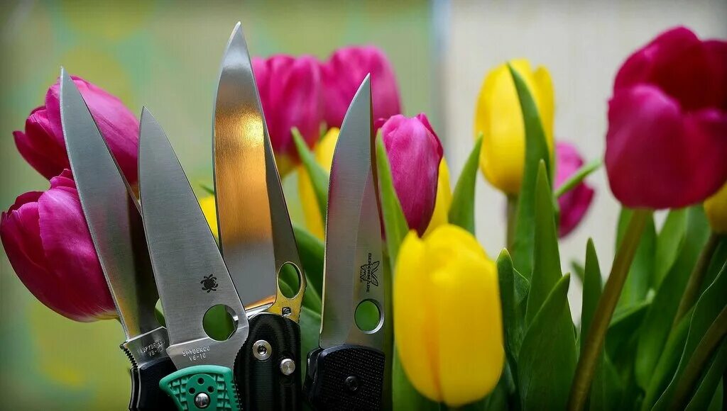 цветочный нож. цветы ножики. цветок и нож. цветы ножики. цветы ножики.