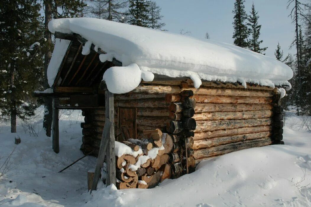 промысел соболя в сибири и жизнь в тайге. зимовья видео. охотничья изба манси. охотничьи избушки в тайге. охотничьи избушки в коми.