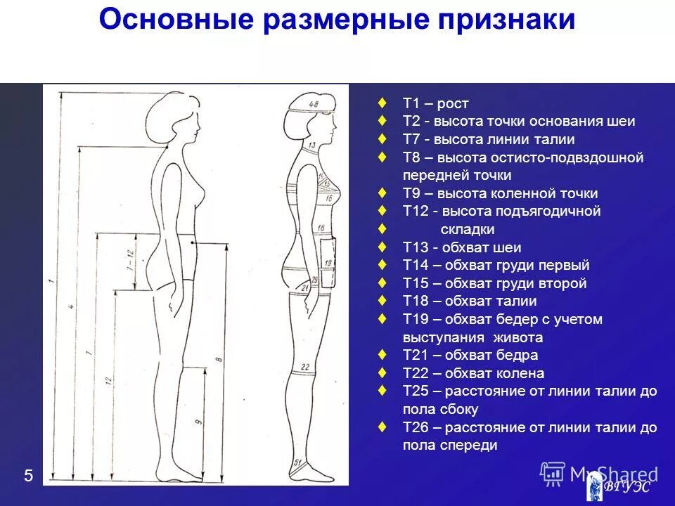 И т д к признакам. Основные размерные признаки тела человека. Точки для снятия мерок. Основные мерки фигуры человека. Основные размерные признаки фигуры.