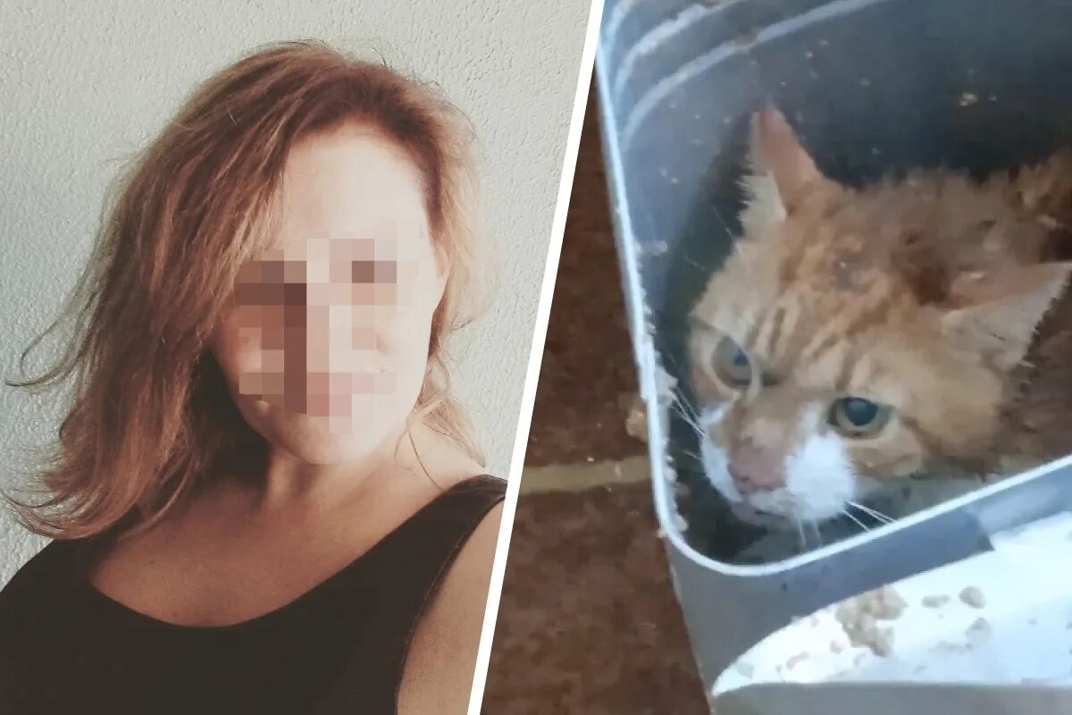 Памятник кузе в санкт-петербурге. Памятник коту кузе на кладбище животных в санкт-петербурге. Кот кузя живодеры из северодвинска. Издевательство над котами. Кот кузя живодеры.