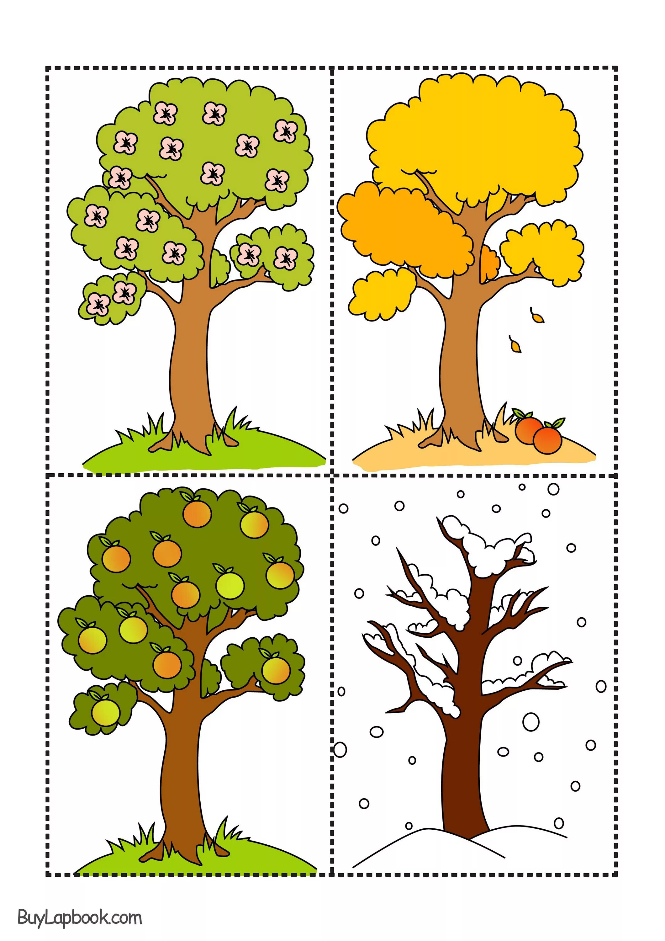 Определите время года на рисунке. Деревья для дошкольников. Деревья задания для детей. Деревья занятия для дошкольников. Изображения времен года для детей.