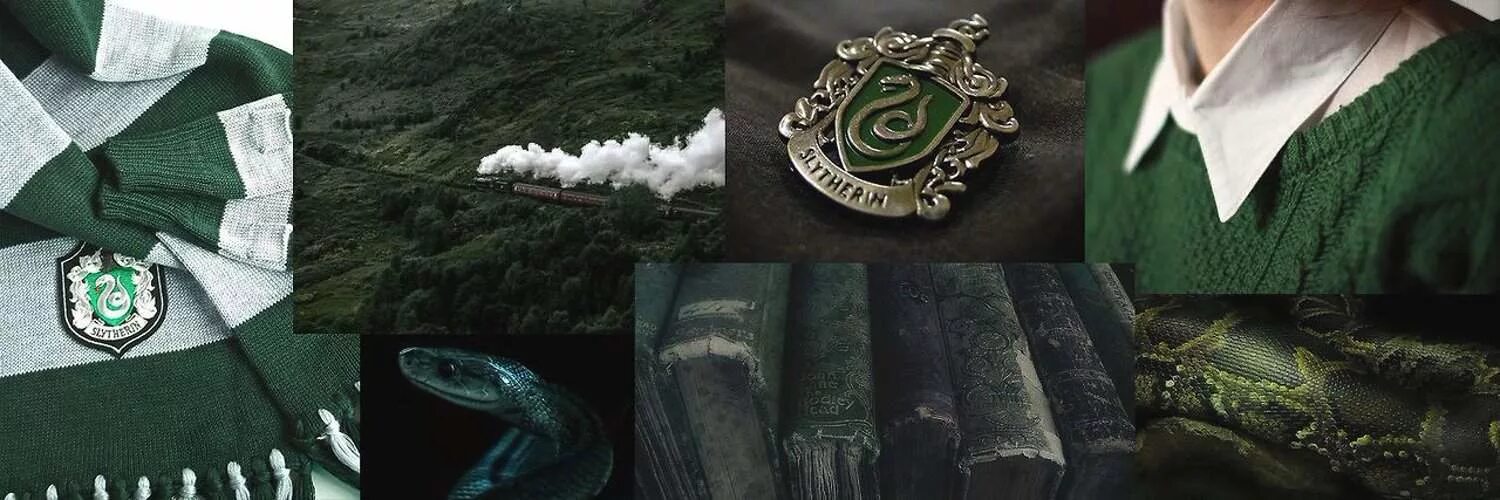 Цитаты слизерина. Слизерин качества факультета. Девиз слизерина. Знамя слизерина. Факультеты хогвартса слизерин.