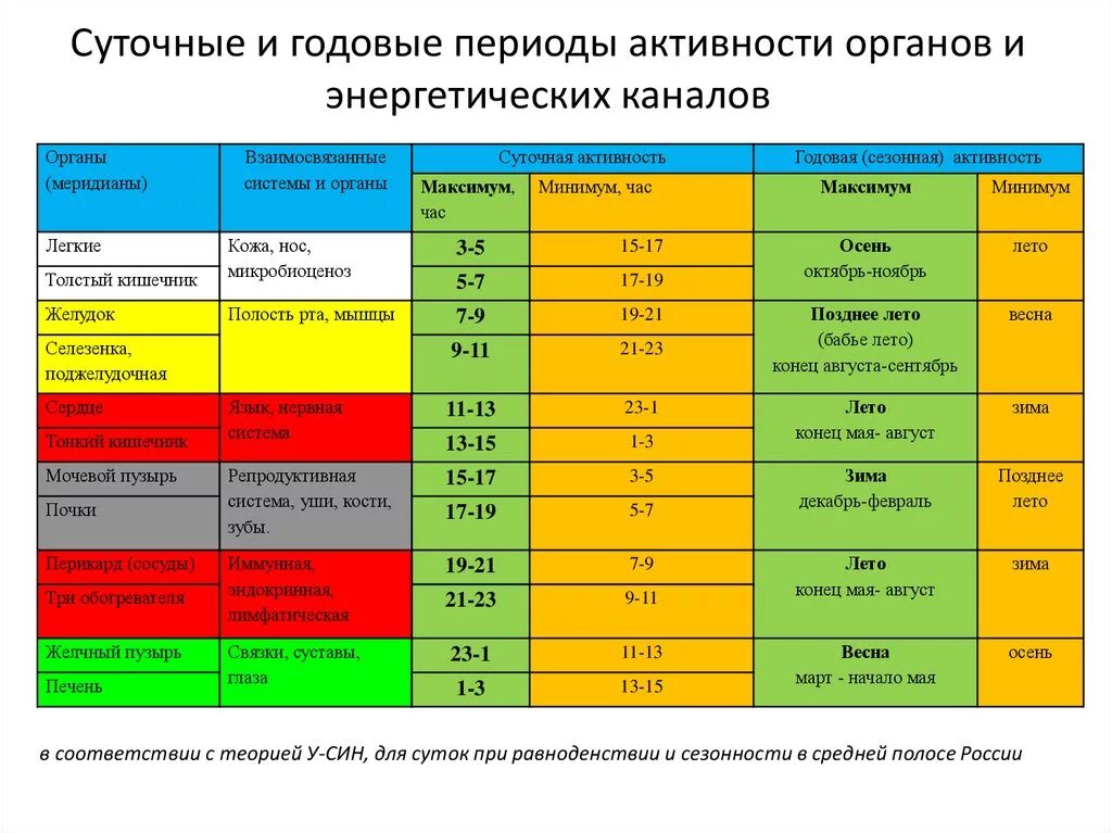 Таблица активности энергетических меридианов. Работа органов по часам в организме. Суточная активность меридианов человека. Таблица активности органов человека по часам.