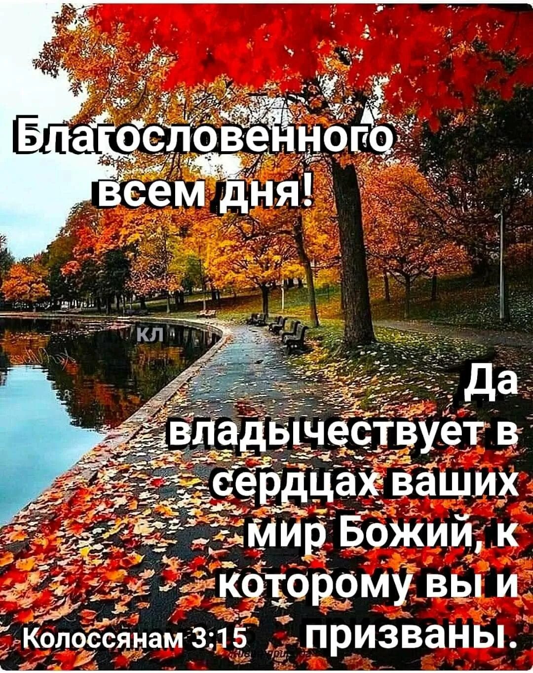Доброго утра благословенного дня открытки осенние. Христианские пожелания на день осенние. осеннее благословение. благословенного дня осень. благосдовеннрго гсеннего лдня.