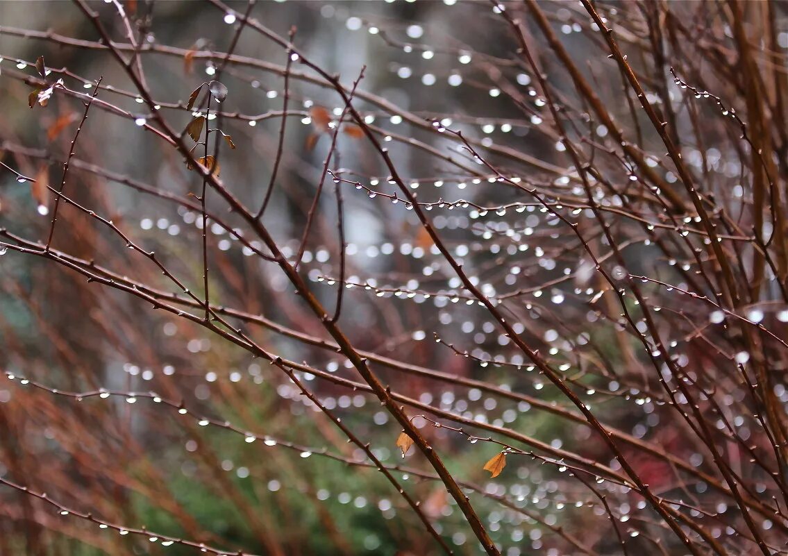 холодная и дождливая весна. весна дождь. дождь на выдержке. дождь весной. весна дождь.