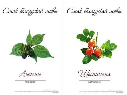 Прыгажосць мовы