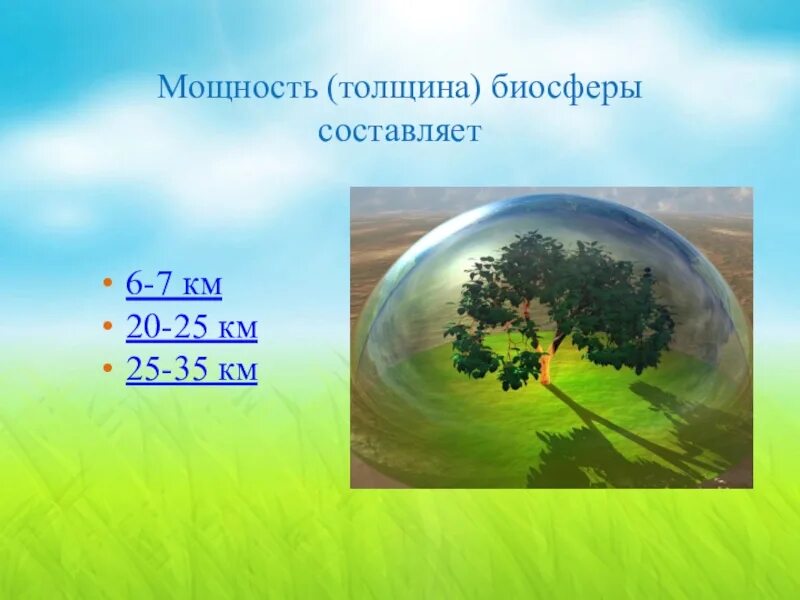 Контрольная работа по теме биосфера 1 вариант