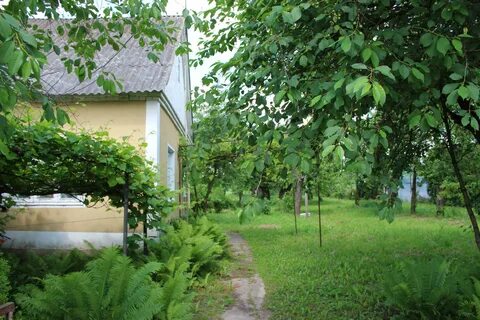 Куфар гродненская