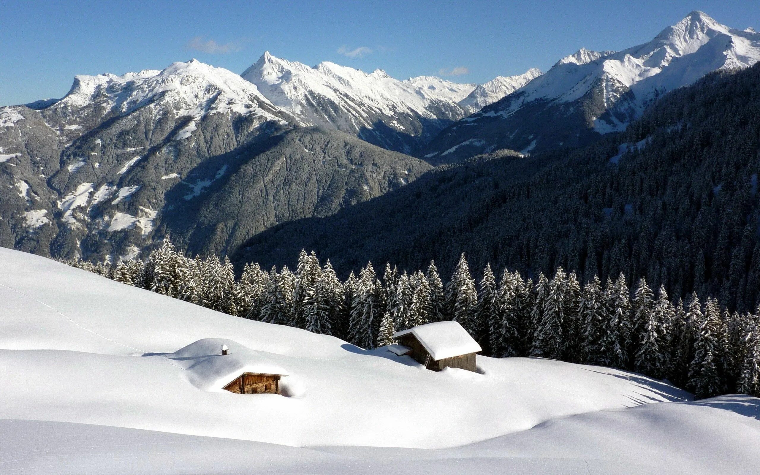 Download wallpaper winter, forest, the sky, the sun, snow, trees, mountains, fog