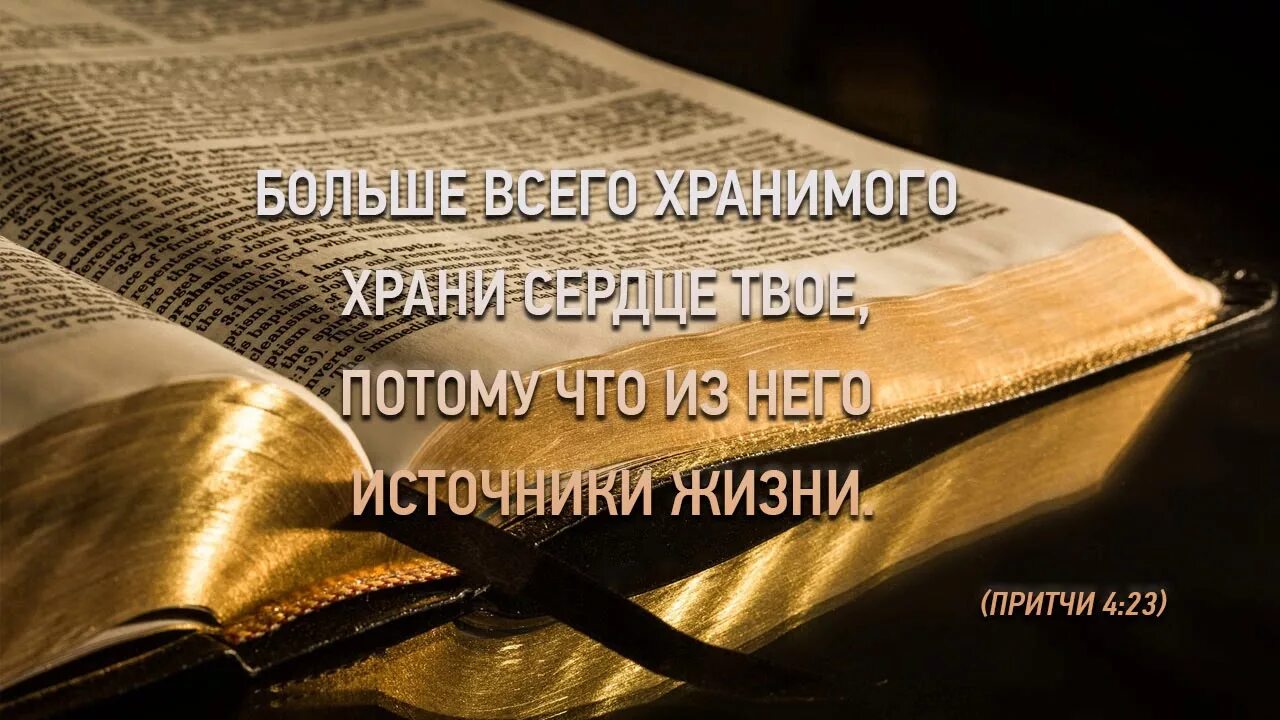 Возлюби господа всем сердцем твоим. Возлюби Господа Бога. Возлюби Бога всем сердцем. Библия Возлюби Господа Бога твоего всем сердцем твоим. Люби Господа Бога.