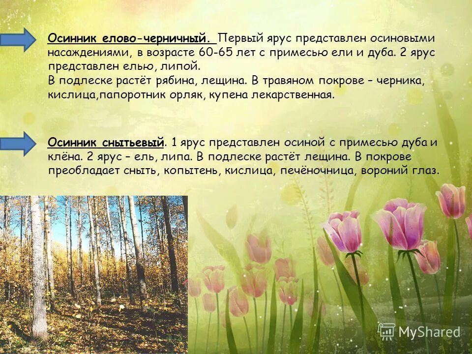 Подосиновик однокоренные слова. Малина суффикс. Слово осинник. Осинник составить предложение. Осинник составить предложение.