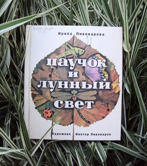 Авторские рассказы ирины
