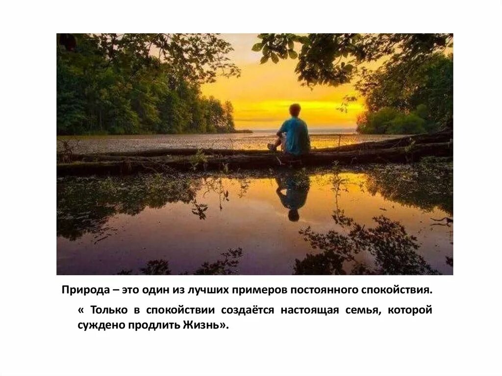 Природа лечит людей. Природа лечит людей