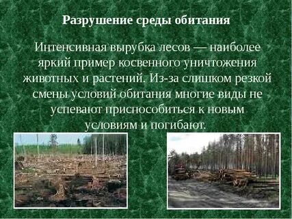 Изменение среды обитания животных