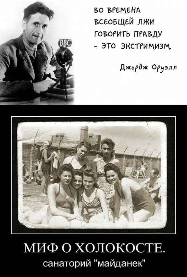 Книга книги о холокосте. Книга жиды. Миф о холокосте. Миф о холокосте. Холокост придумали евреи.