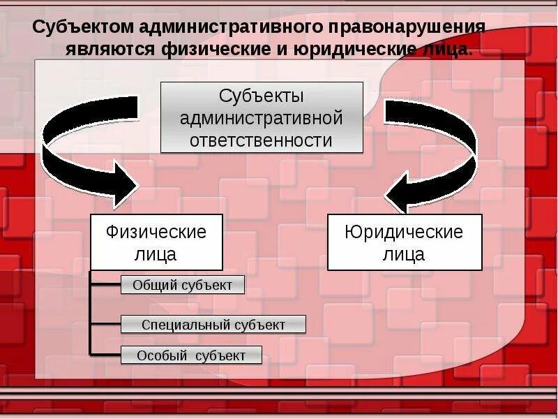 Административная ответственность в субъектах федерации. Субъектыдминистративного правонарушения. Субъект административного правонарушения. Субъекты административной ответственности. Виды субъектов правонарушения.