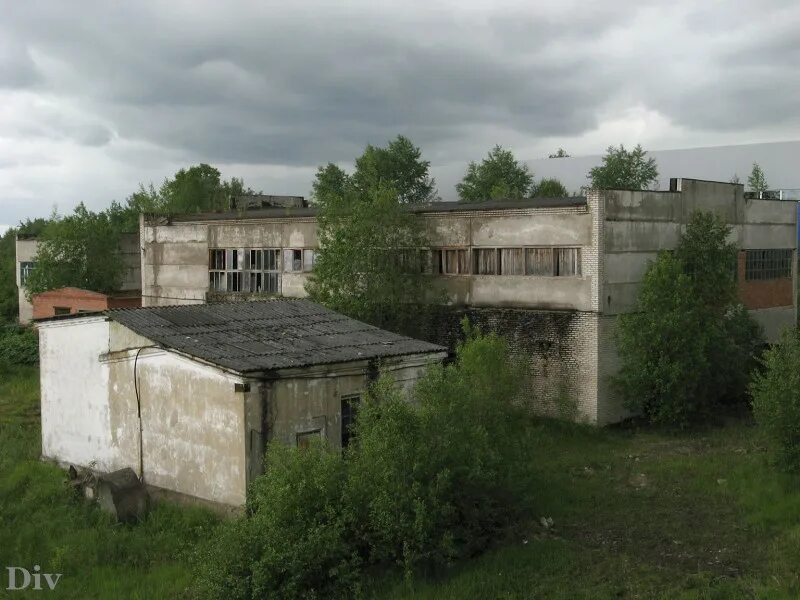 Невская дубровка бараки. Невская дубровка заброшенный завод. Невская дубровка завод. Невская дубровка ленинградская область. Невская дубровка завод.